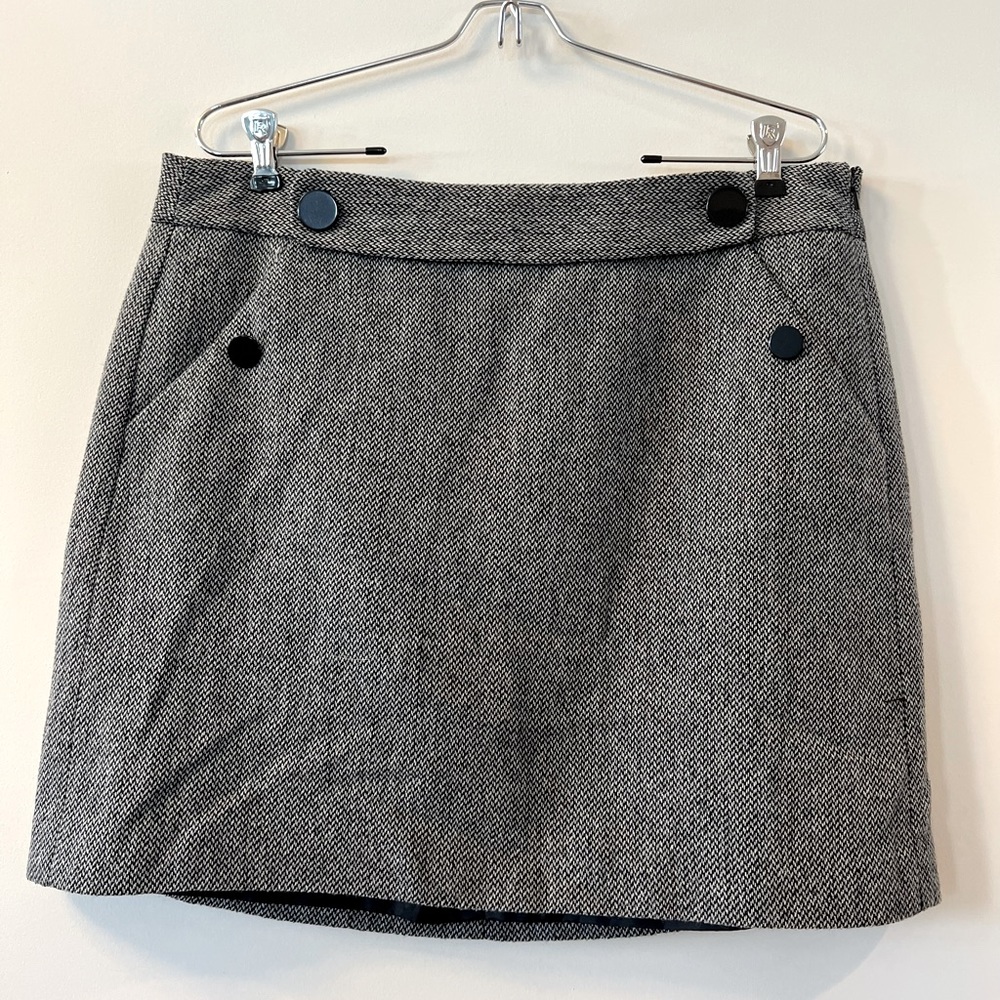 Ann Taylor Skirt